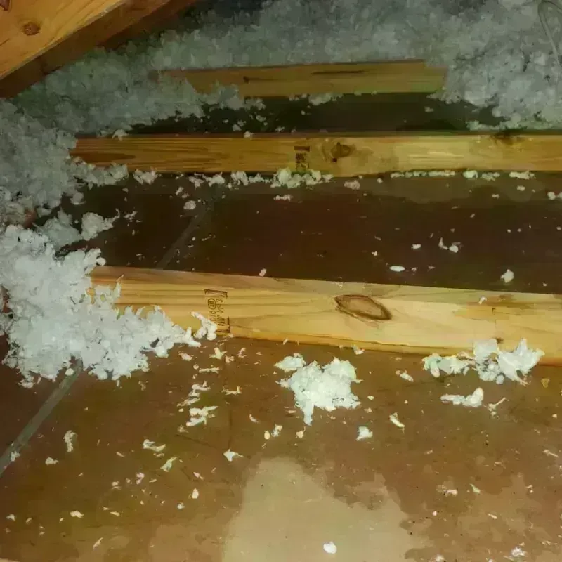 Attic Water Damage in Roger Mills County, OK