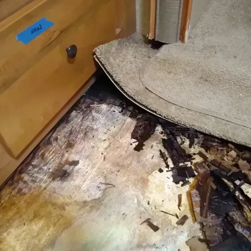 Wood Floor Water Damage in Roger Mills County, OK